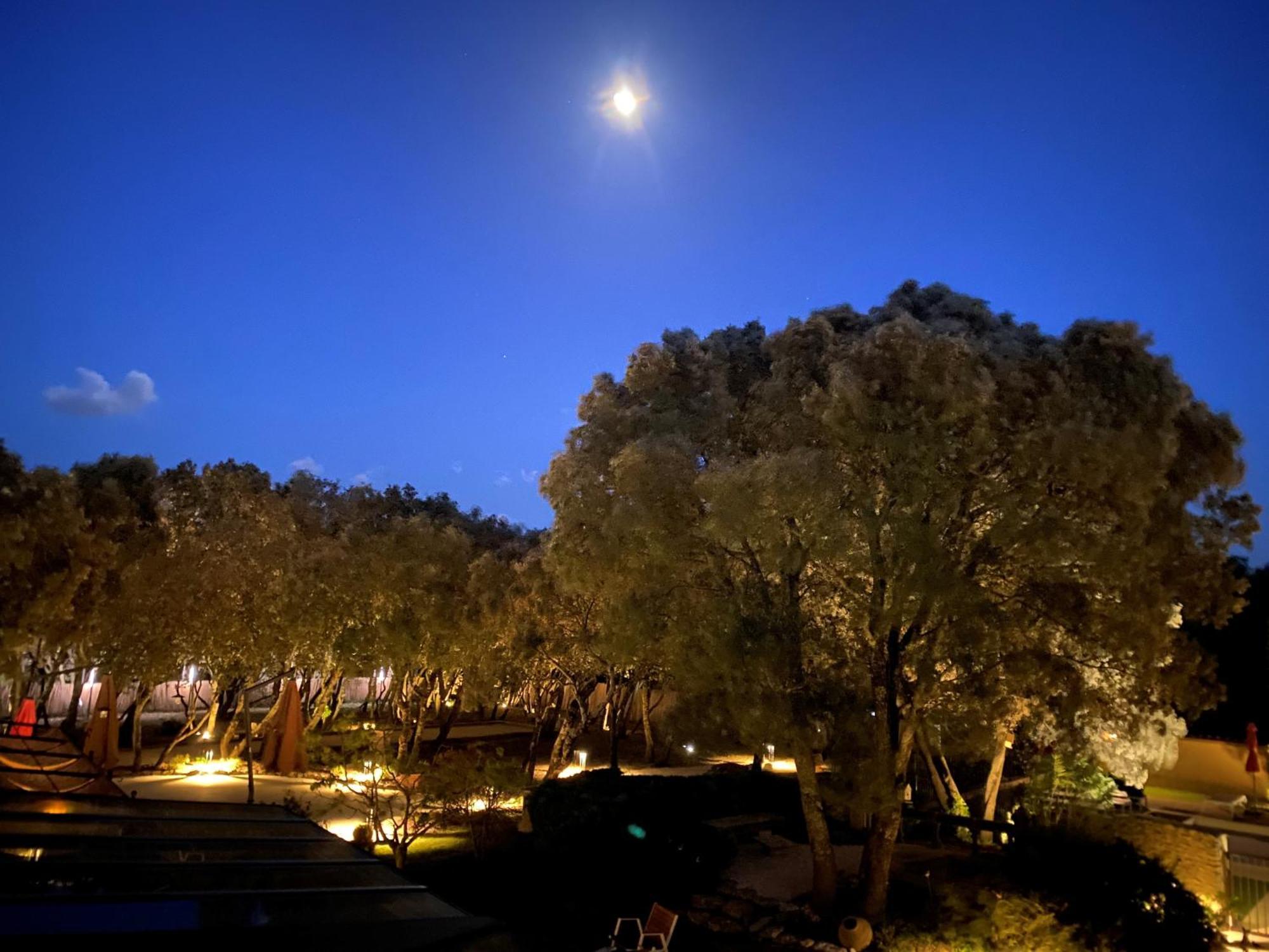 Logis La Bastide De Grignan Hotel & Restaurant "La Chenaie" Екстер'єр фото